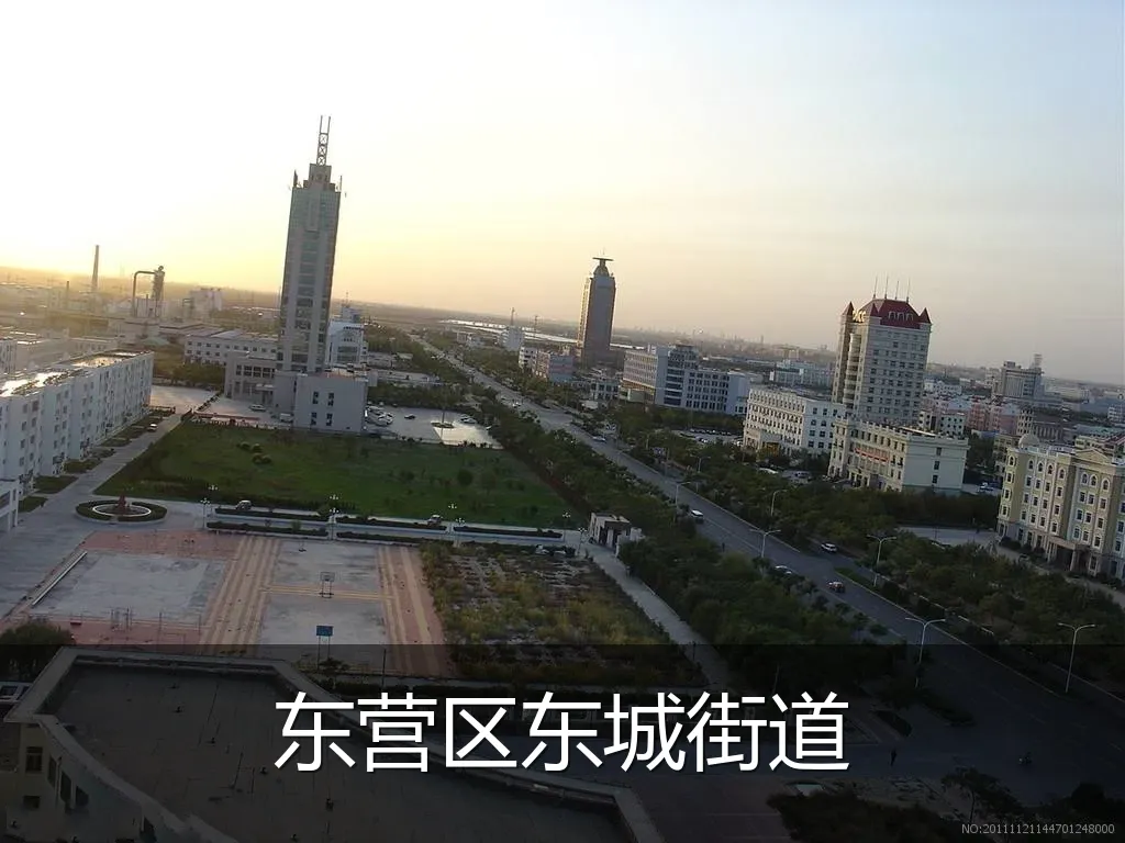 东营区东城街道