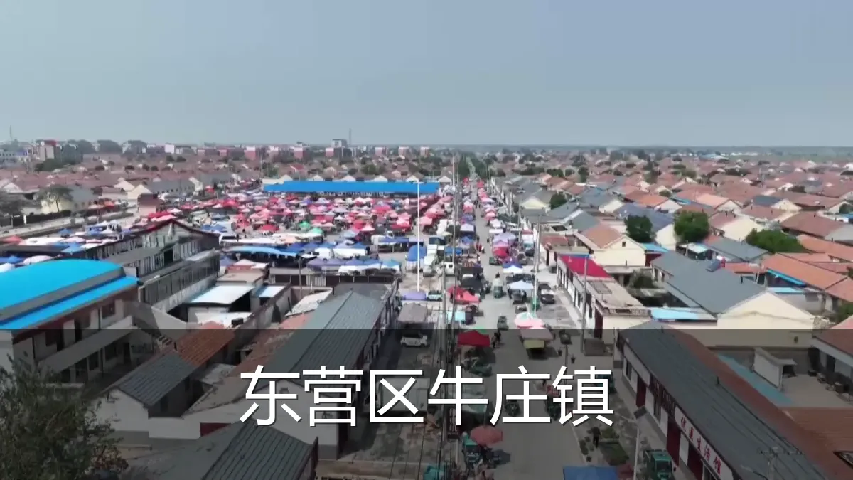 东营区牛庄镇