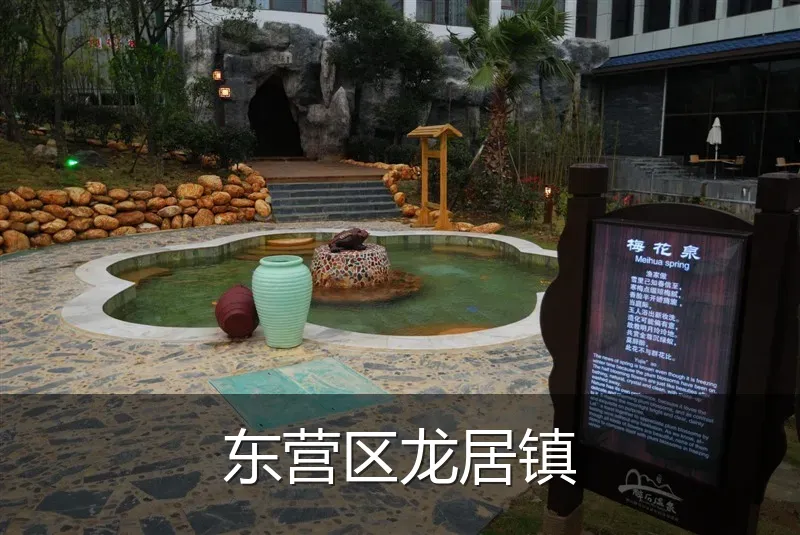 东营区龙居镇