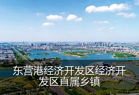 东营港经济开发区经济开发区直属乡镇