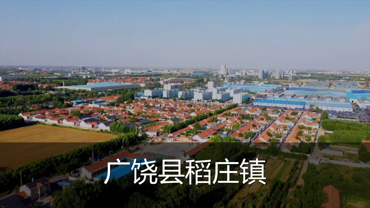 广饶县稻庄镇