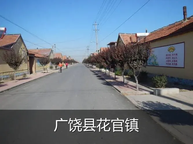 广饶县花官镇