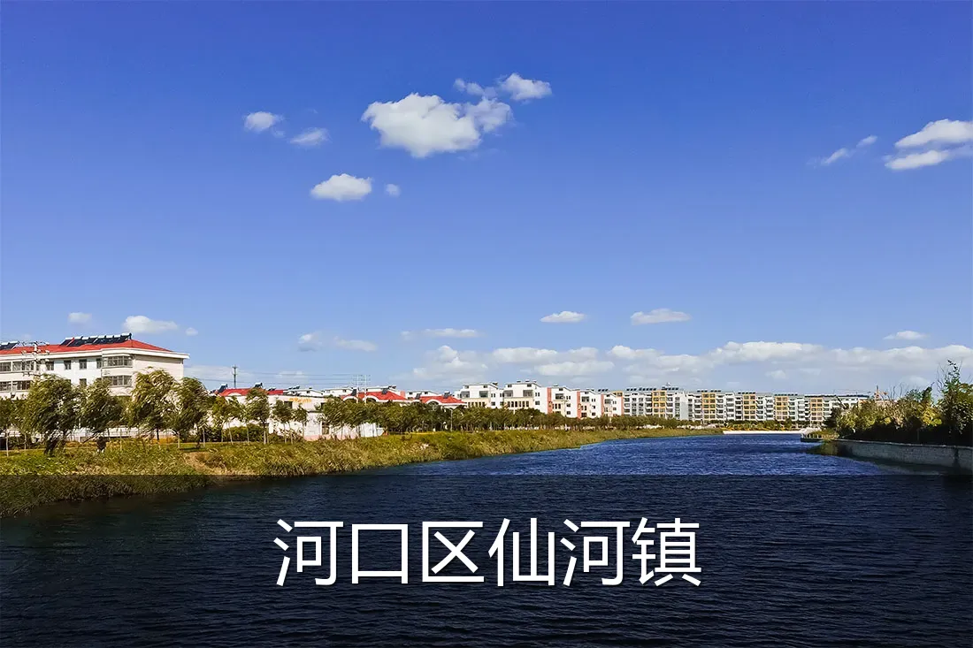 河口区仙河镇