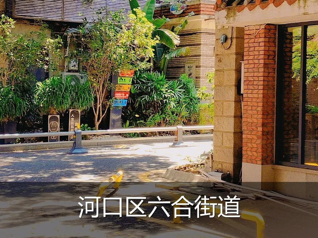 河口区六合街道